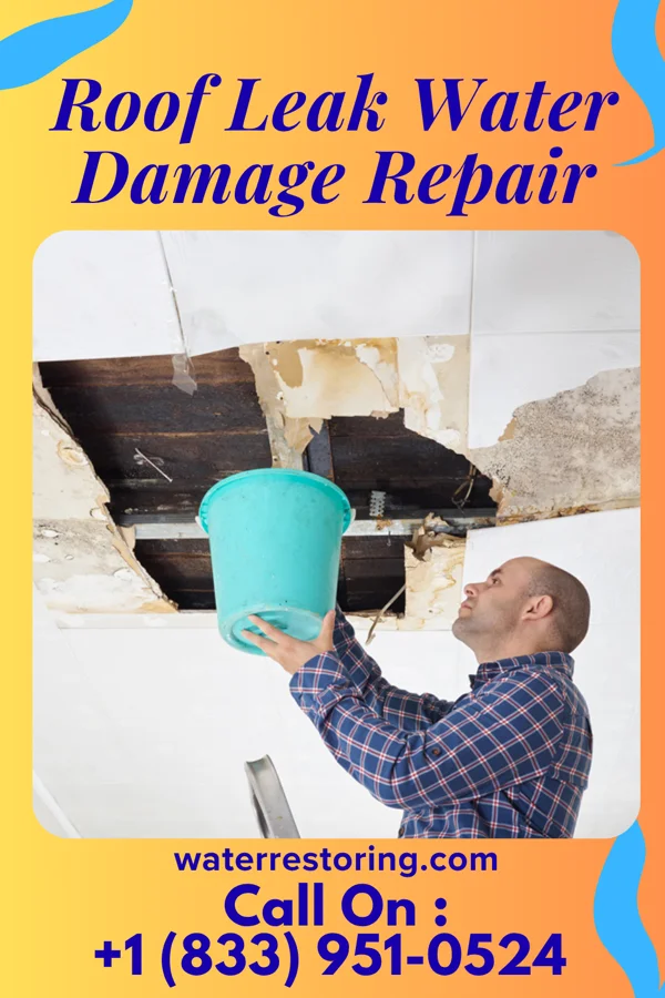 Roof Leak Water Damage Repair in Bertrand, NE