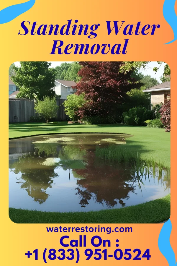 Standing Water Removal in Bertrand, NE